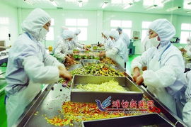 青濰對(duì)接 農(nóng)業(yè)合作引領(lǐng)農(nóng)產(chǎn)品生產(chǎn)新飛躍