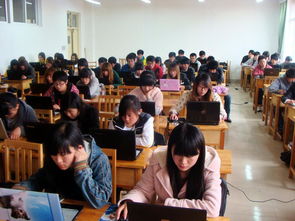 建筑裝飾工程技術專業中的工程技術服務