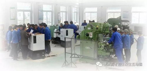 甘肅林業職業技術學院機電工程學院 以技術服務為引擎，賦能區域產業發展